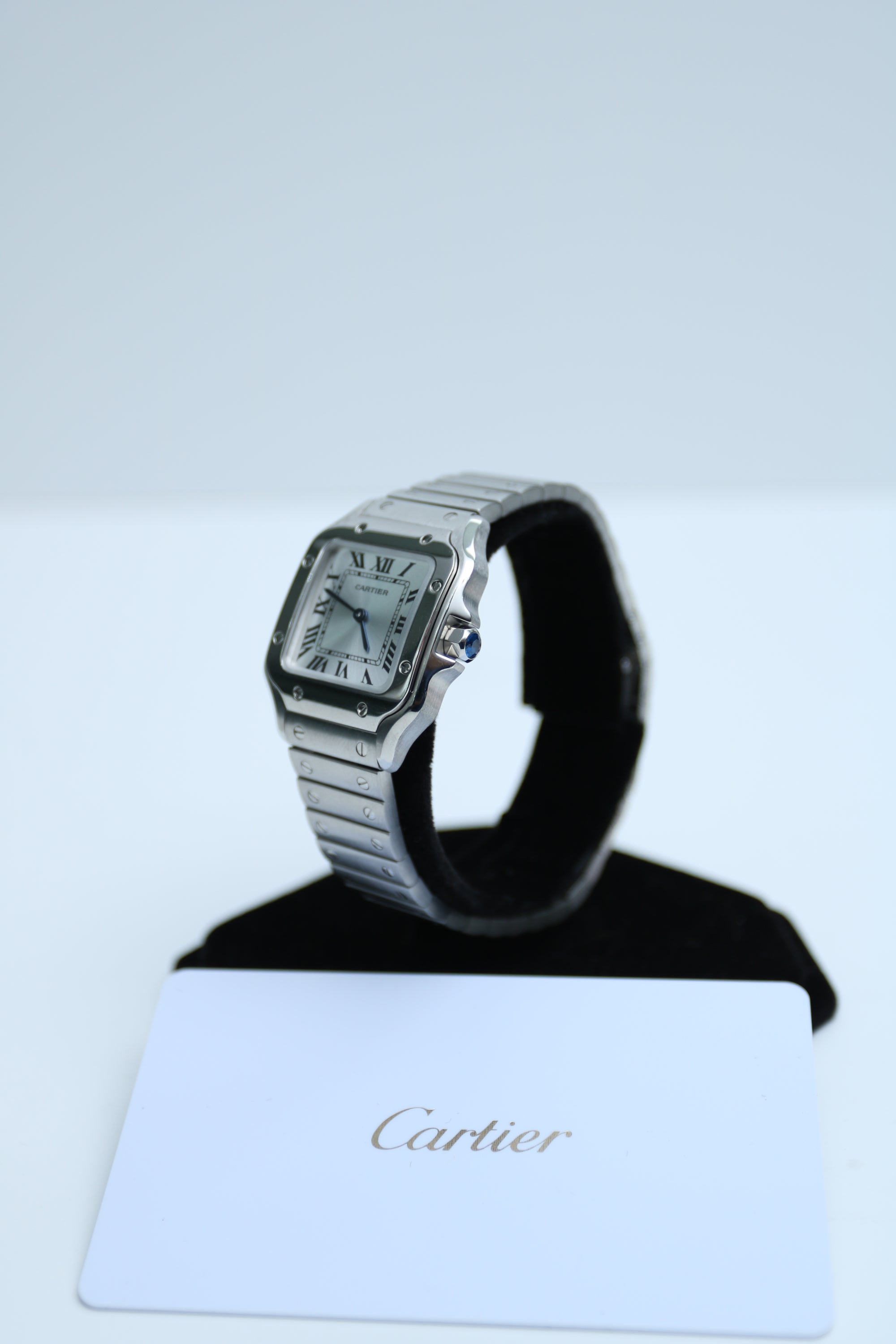 Cartier Santos Silver Dial on SS WSSA0082 2025