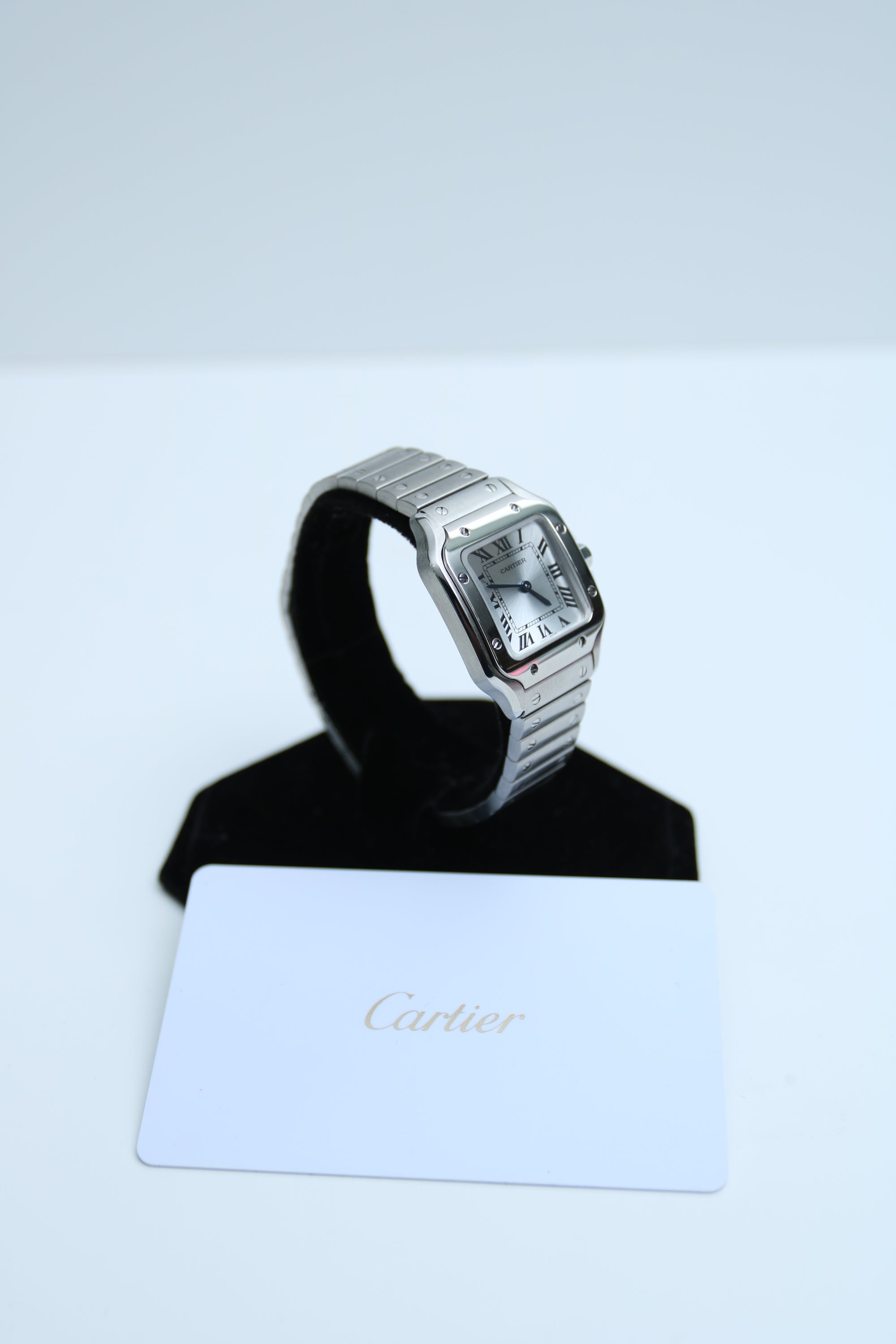 Cartier Santos Silver Dial on SS WSSA0082 2025