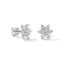 Load image into Gallery viewer, By Barnett 1ct Star Stud Earrings
