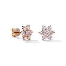 Load image into Gallery viewer, By Barnett 1ct Star Stud Earrings