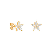 Load image into Gallery viewer, By Barnett Marquise Star Diamond Earrings