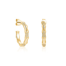 Load image into Gallery viewer, By Barnett Gleaming Hoopla Diamond Earrings